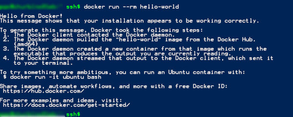 Example output of the docker console check. Example output of the docker console check.